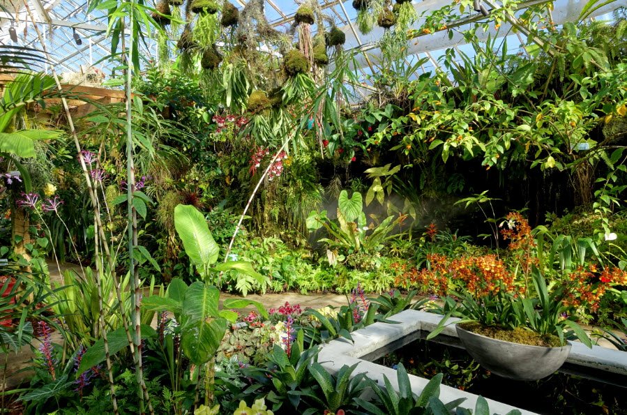 Marie Selby Botanical Gardens Downtown Sarasota, United States